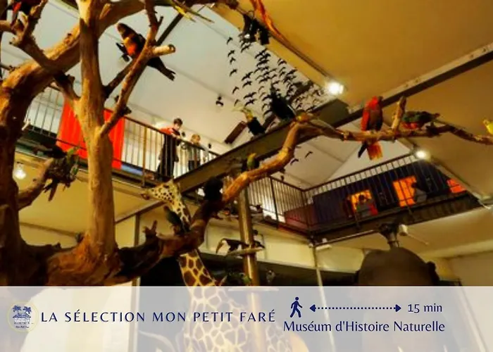 Le Savana - Renove & Centre-Ville